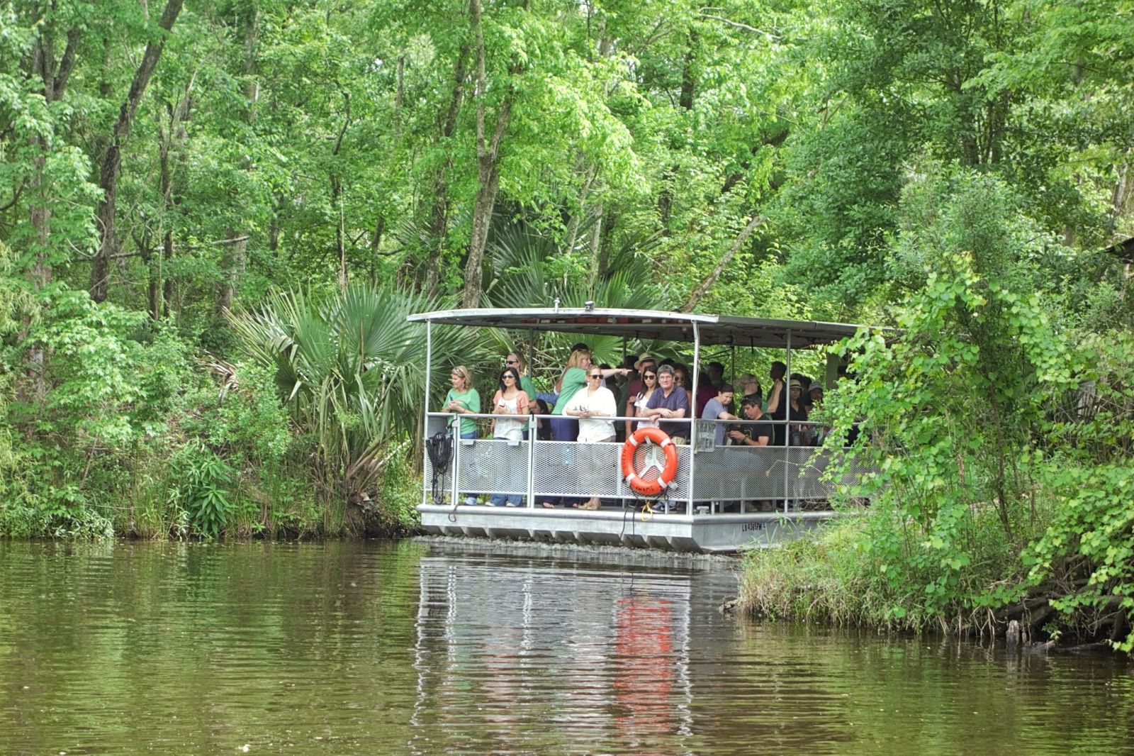 jean lafitte swamp tours